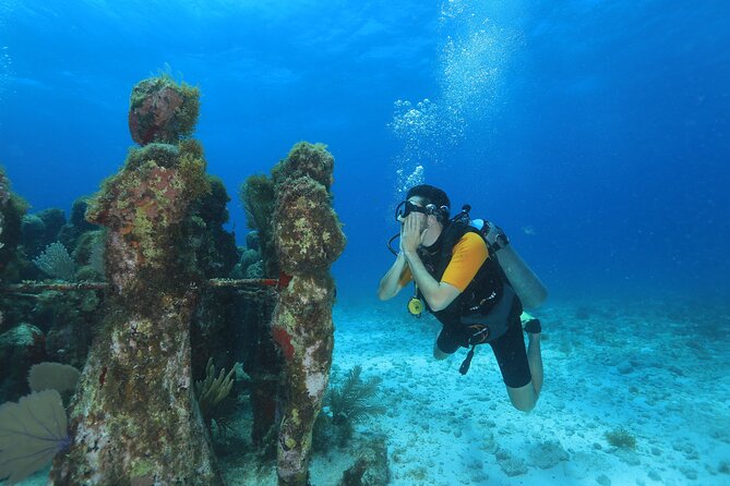 Two Tanks Scuba Diving for Beginners in Cancun - Why This Tour Offers Great Value