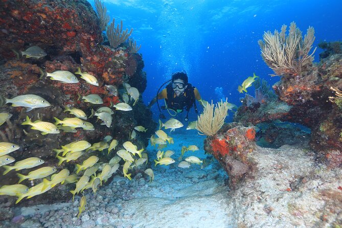 Two Tanks Scuba Diving for Beginners in Cancun - A Closer Look at What to Expect