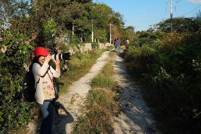 Private Tour: Birdwatching from Cancun - Who Would Love This Tour?
