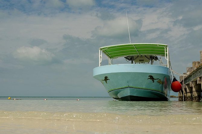 Day Trip to Isla Contoy - The Authentic Touch: What Sets This Tour Apart?