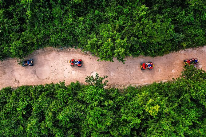 Half-Day Cancun ATV Adventure with Ziplines & Cenote - The Logistics: Timing, Transportation, and Group Size
