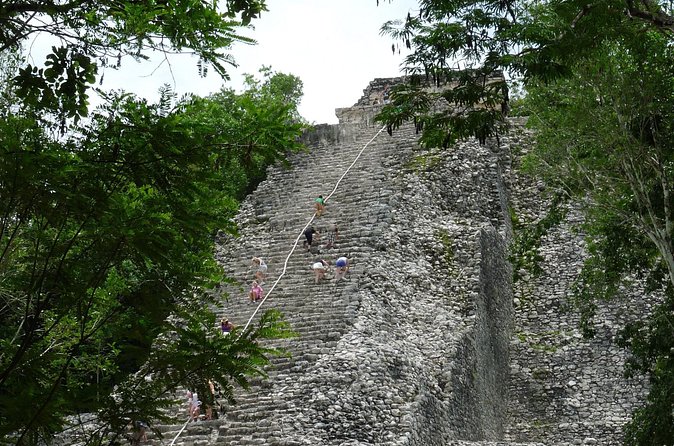 Mini Yucatan 3days 2 nights Chichen Itza Cenote Merida Uxmal Celestun Coba caves from Cancun - Authentic Experiences and Reviewer Insights