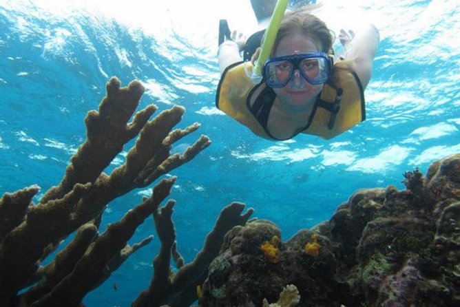 Palancar, Columbia and El Cielo Cozumel Snorkeling Tour - What’s Included and What to Expect