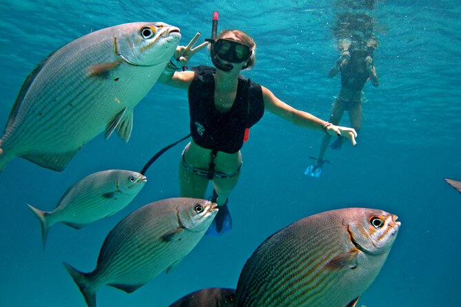 Palancar, Columbia and El Cielo Cozumel Snorkeling Tour - Good To Know