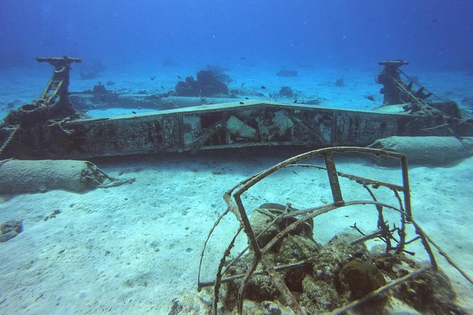 1 Tank Guided Shore Dive Including Equipment - What to Expect on Your Shore Dive