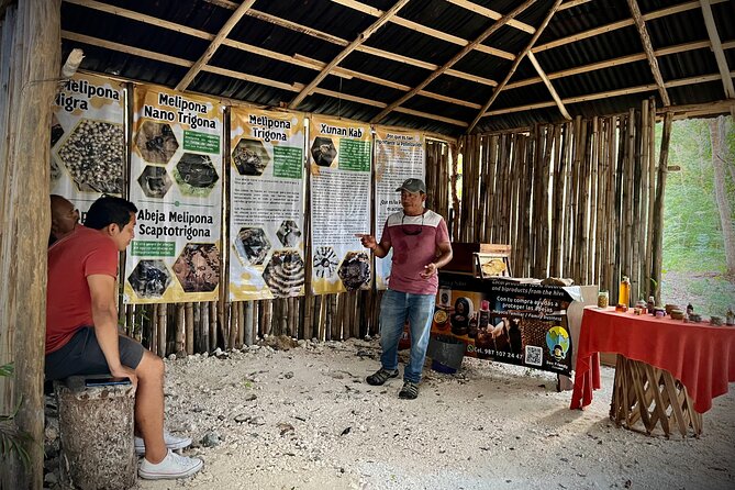 Cozumel: Bee Farm + Honey & Chocolate Tasting + Sightseeing - The Sum Up