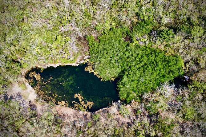 Best of Cozumel Tour - Authentic, Guided Experience with Local Insights