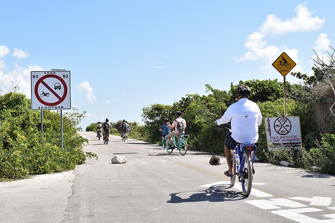 Half-Day Electric Bike Tour of Cozumel's East Side With Lunch - Why Choose This Tour?