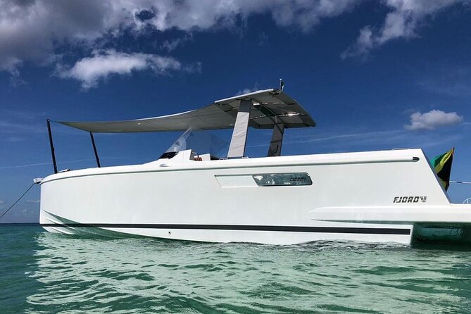 Deluxe Private Boats - 36 ft Fjord - Who Would Love This Tour?