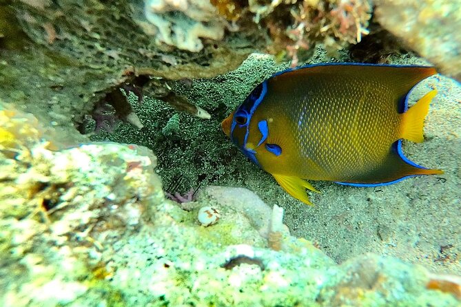 Shopping & Mexican Flavors with Transportation Included - Summary