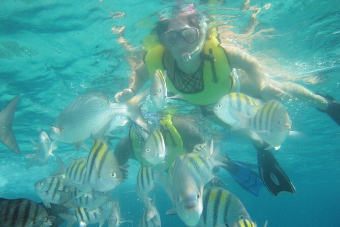 Cozumel Beach + Snorkeling Time - Who Should Consider This Tour?
