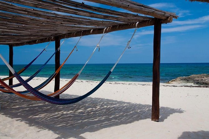 Private cozumel full day adventure - Final thoughts