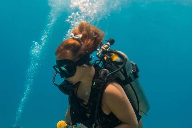 Scuba Diving in Cozumel Island - The Sum Up