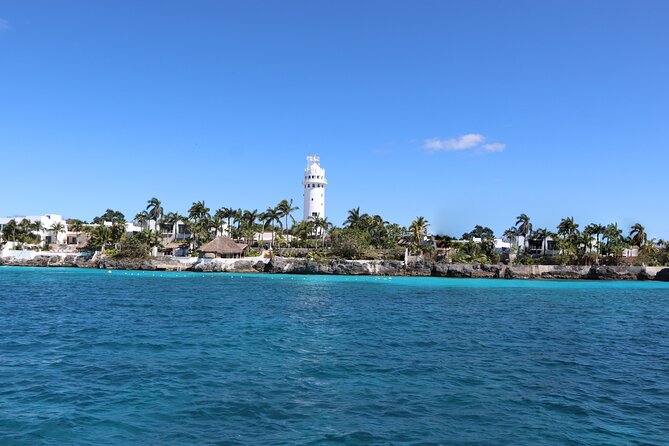 Cozumel Reef Snorkeling Tour - Value and Overall Impression