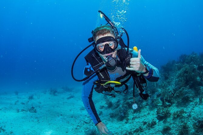 Discover Scuba Diving at Cozumel Marine Park - Who Would Love This Tour?