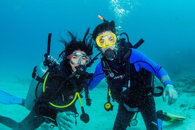 Discover Scuba Diving at Cozumel Marine Park - An In-Depth Look at the Discover Scuba Experience