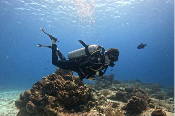 Open Water Diver Course - Key Points