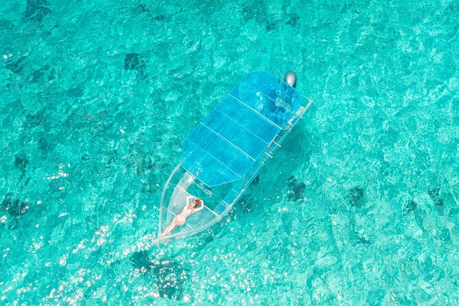 Discover Cozumel in a Transparent Boat! - Introduction: Why This Cozumel Tour Might Be Just Right