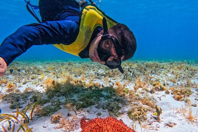 El Cielo Snorkeling Adventure in Cozumel - Itinerary Breakdown: What to Expect