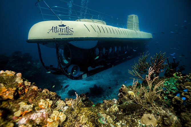 Submarine Atlantis Cozumel Adventure by day & sunset - What to Expect in Terms of Timing and Cost
