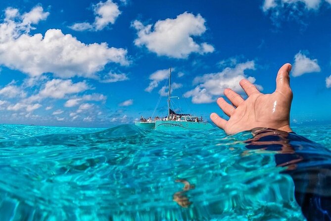Cozumel's Reefs in El Cielo, Palancar and Columbia Guided Tour - Good To Know