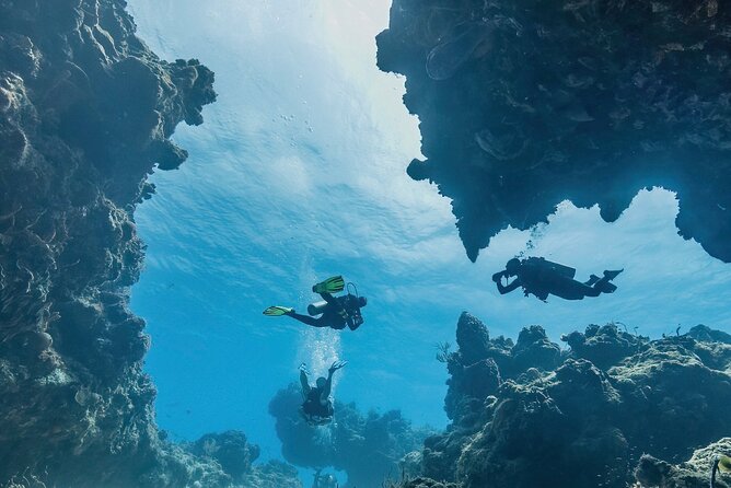 Cozumel underwater 2 Tank Dive by boat - Who Will Love This Tour?