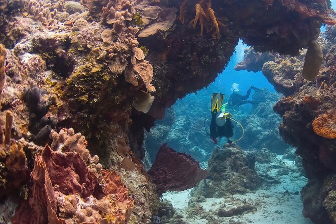 Cozumel underwater 2 Tank Dive by boat - An In-Depth Look at the Cozumel Underwater 2 Tank Dive Experience