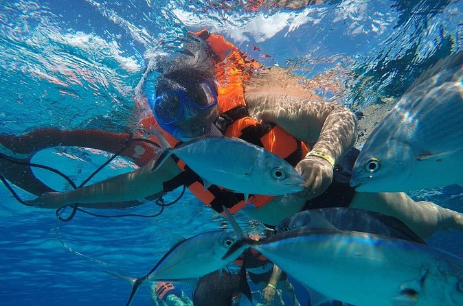 Private Sky Snorkeling Tour - What Makes This Tour Stand Out?