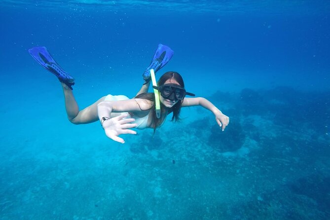 Shared Sky Snorkeling in Cozumel - An In-Depth Look at the Cozumel Snorkeling Experience