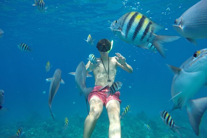 Shared Sky Snorkeling in Cozumel - Final Thoughts