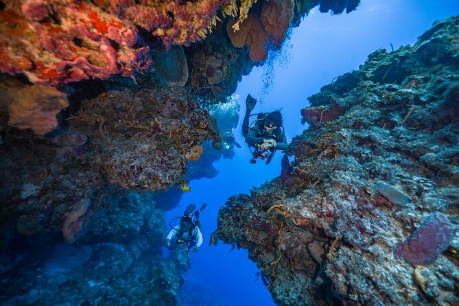 2 Tanks dives for Certified Divers in Cozumel - Final Thoughts: Is It Worth It?