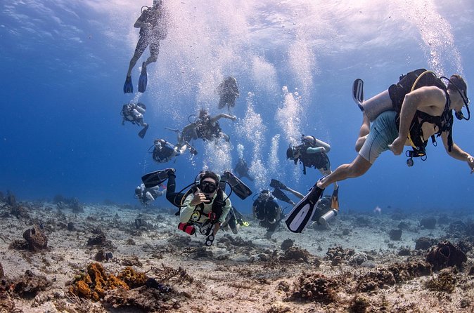 2 Tanks dives for Certified Divers in Cozumel - Who Should Consider This Tour?