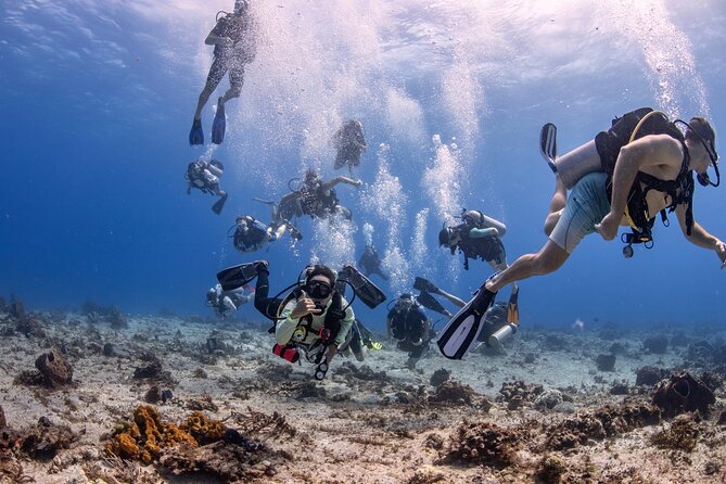 2 Tanks dives for Certified Divers in Cozumel - Good To Know