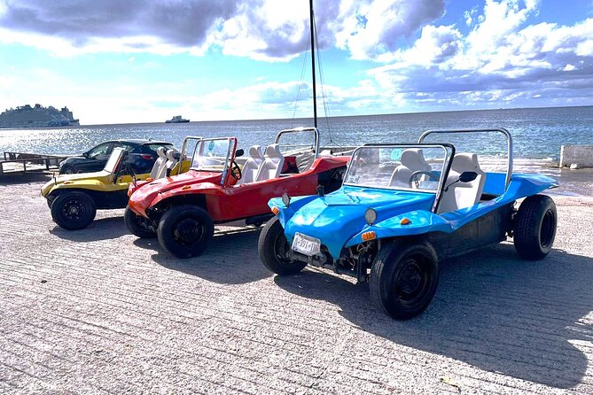 Chankanaab Park and Island Tour by Buggy with Mexican Lunch - Exploring Cozumel on a Buggy