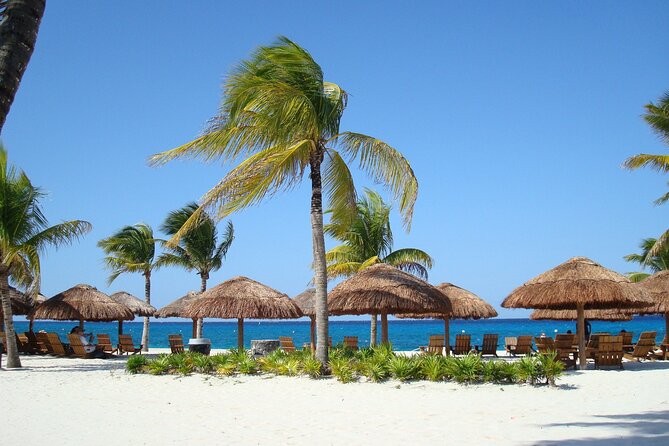 Chankanaab Park and Island Tour by Buggy with Mexican Lunch - The Mayan Extreme Park: Cultural and Tasting Gems