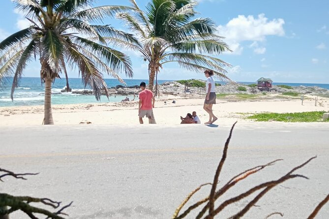 Cozumel Best Spots (Beach-Mayan Park-Downtown) - Authentic Experiences and Insights from Reviews