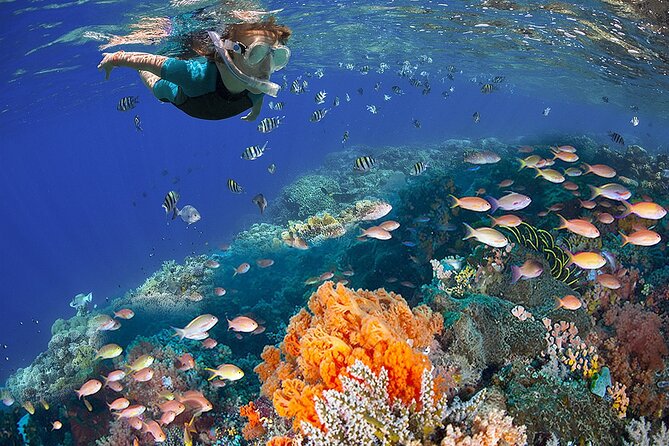 All Inclusive Buggy Adventure - Why This Tour Stands Out