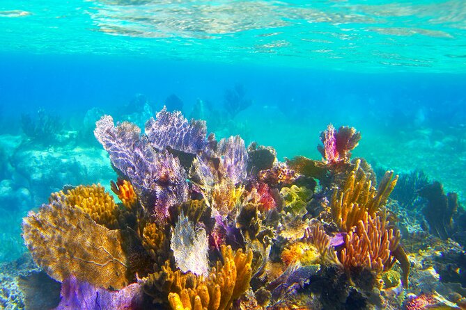 Exclusive Private Boat to El Cielo - What Makes This Tour Stand Out?