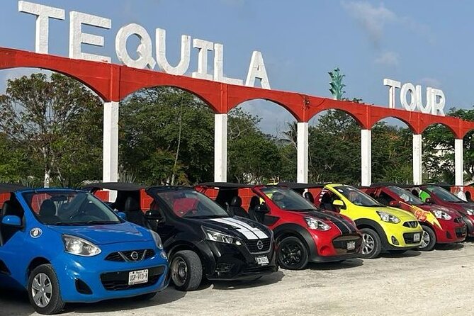 All Inclusive Mayan Ruins EN Buggy & Snorkeling Tour - Good To Know