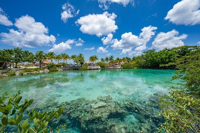 Snorkeling Adventure with Lunch and Tequila Tour - Key Points