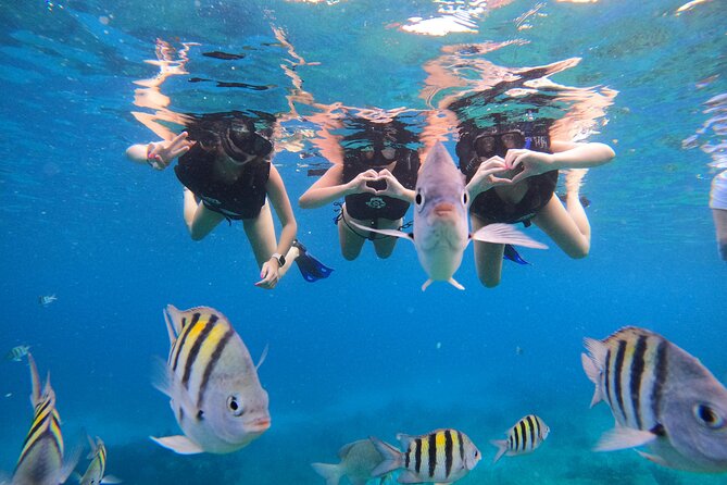 Snorkeling Adventure with Lunch and Tequila Tour - The Sum Up