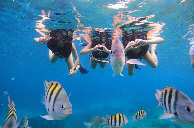 Snorkeling Adventure with Lunch and Tequila Tour - Who Should Consider This Tour?