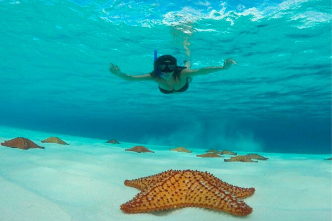 Catamaran Snorkeling to El Cielo and The Money Bar Beach Club - Practical Considerations