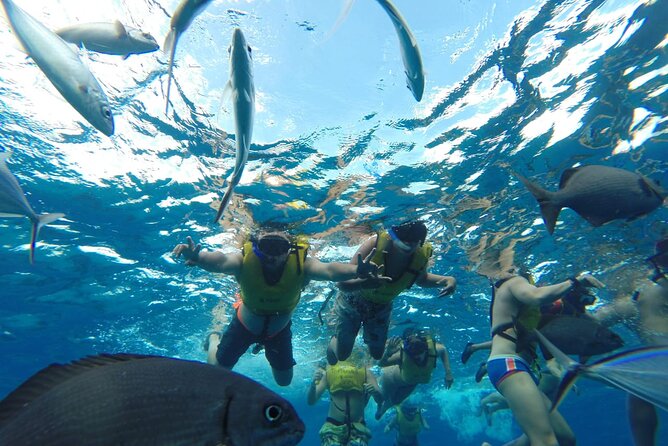 Catamaran Snorkeling to El Cielo and The Money Bar Beach Club - FAQs About the Catamaran Snorkeling Tour