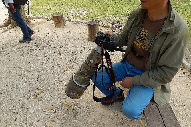 Private Tour: Birdwatching Cozumel Island - Who Would Love This Tour?
