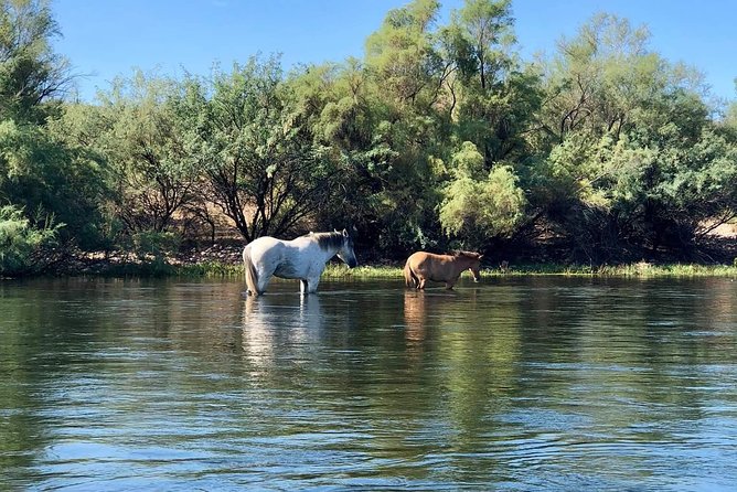 1 Person Inflatable Kayak Full-Day Rental - Transporting is required - Who Will Love This Tour?