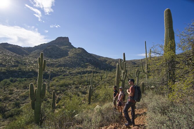 Incredible Hidden Valley Guided Hike in Phoenix, Arizona - Exploring the Sonoran Desert: A Detailed Look at the Hidden Valley Hike