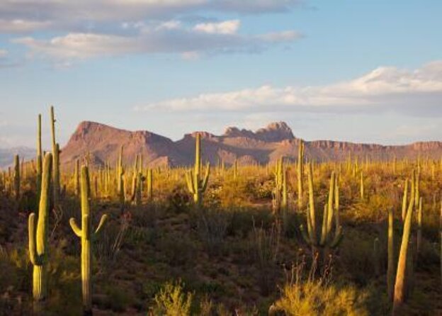 Incredible Hidden Valley Guided Hike in Phoenix, Arizona - Experience the Hidden Wonders of the Sonoran Desert with a Guided Hike in Phoenix