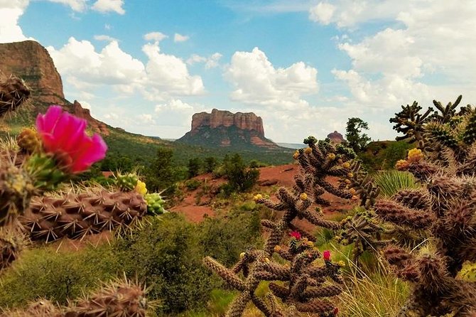 Sedona Day Trip from Phoenix - Transportation and Group Size: What It Means for You