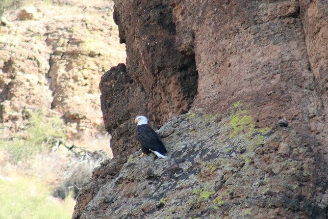 Apache Trail with Dolly Steamboat - In closing, this tour offers a compelling mix of scenery, history, and relaxation that balances value with memorable experiences. It’s a fantastic way to explore the best of Arizona’s outdoors without the hassle of planning every detail yourself. If you’re ready for a day of adventure and stunning views, this tour is worth considering.